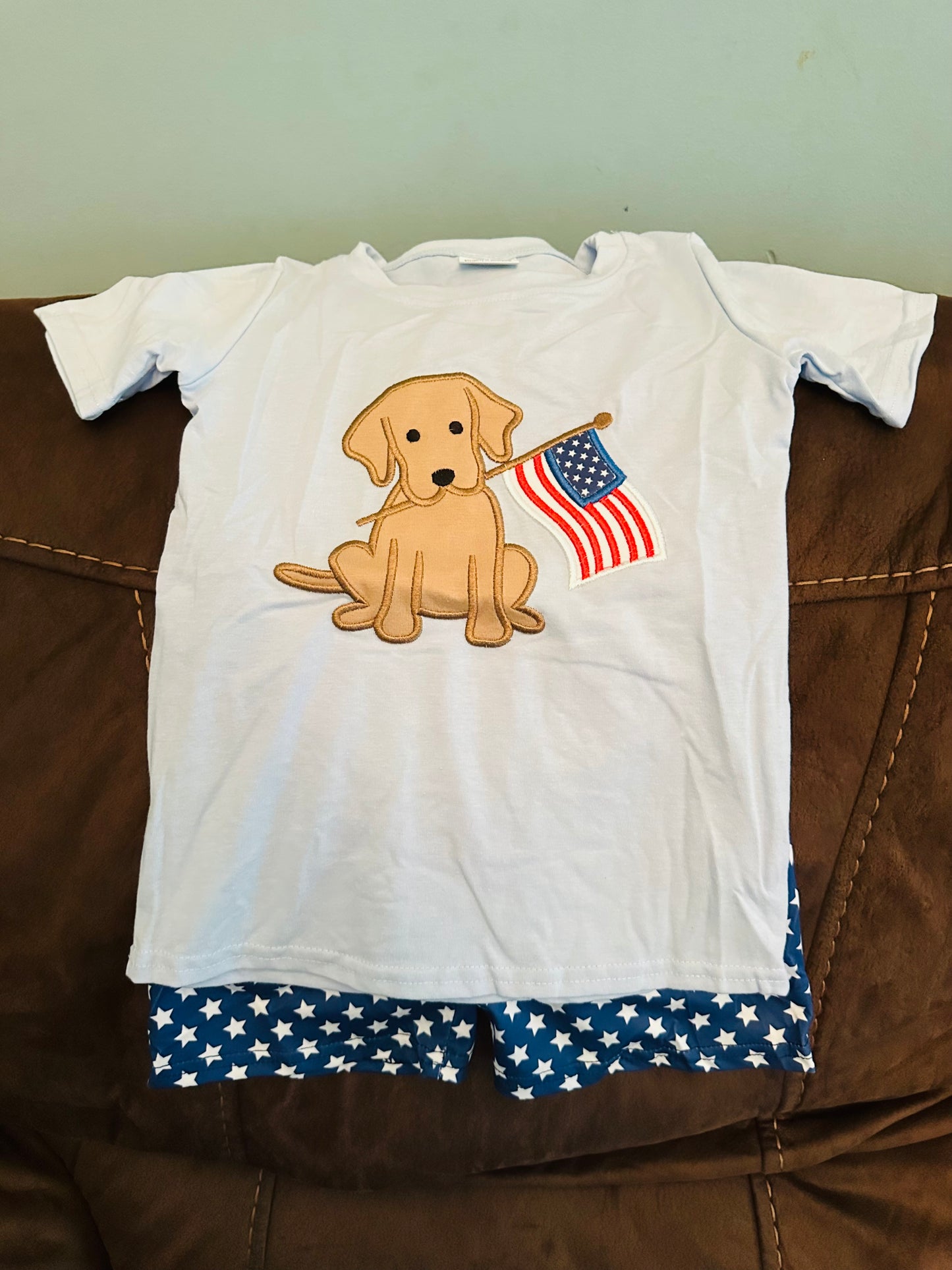 Boys Patriotic Puppy Set