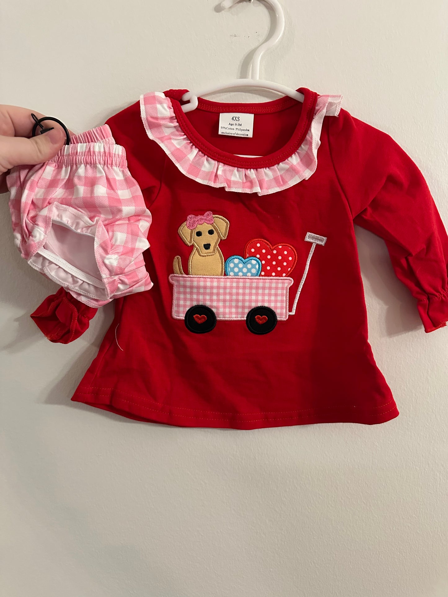 Girls Valentine's Dog Diaper Set