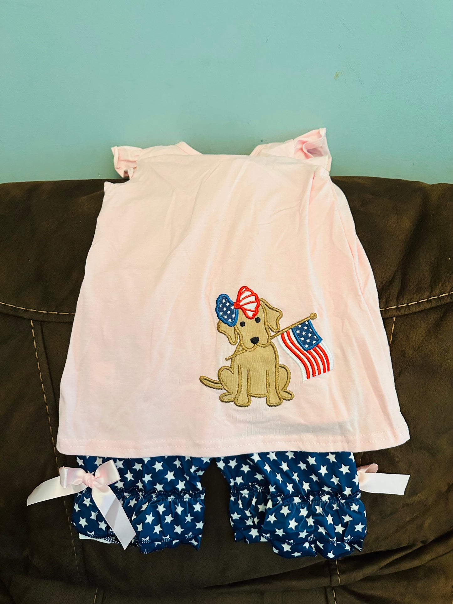 Girls Patriotic Puppy Set