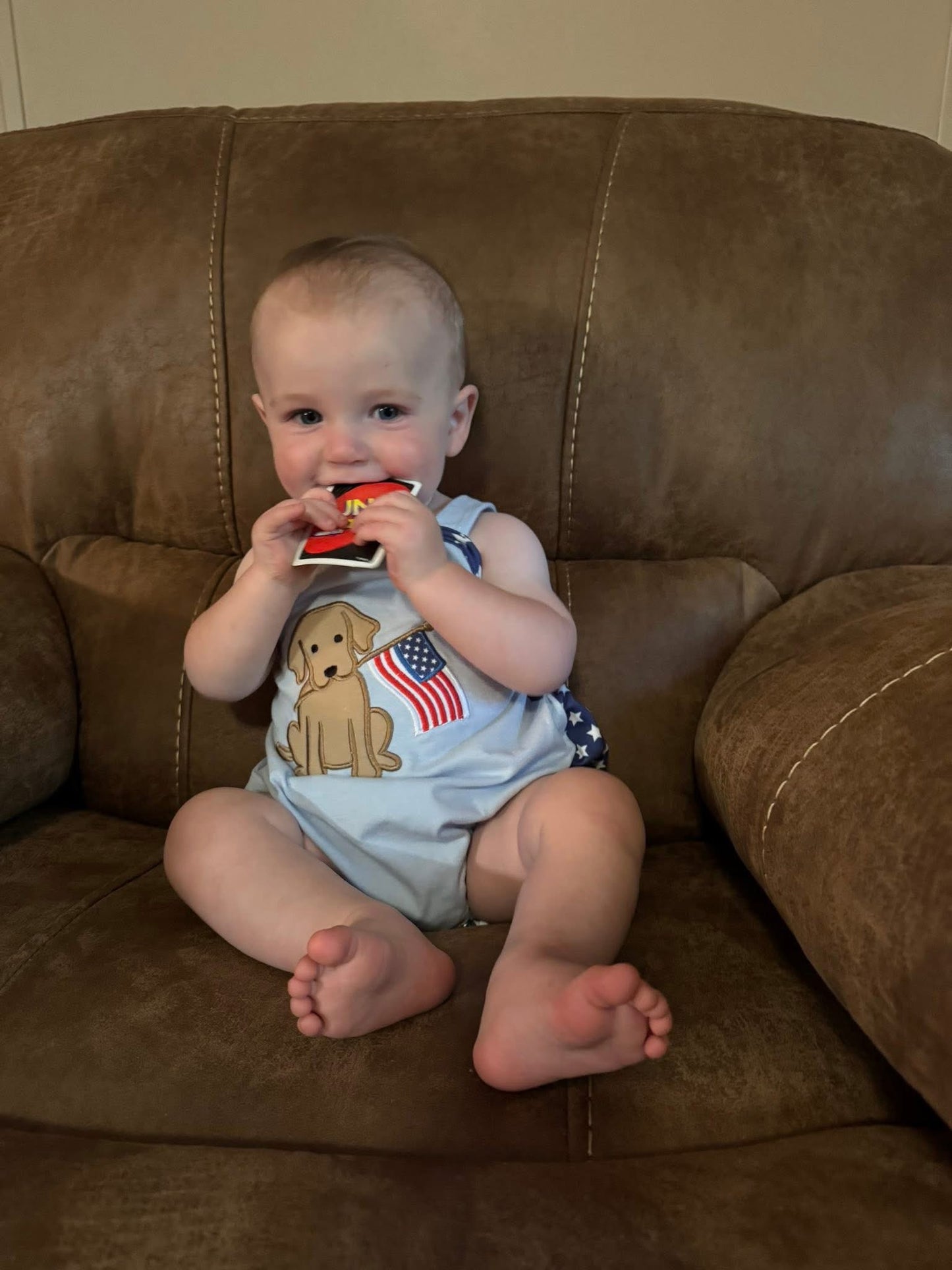 Boys Patriotic Puppy Bubble